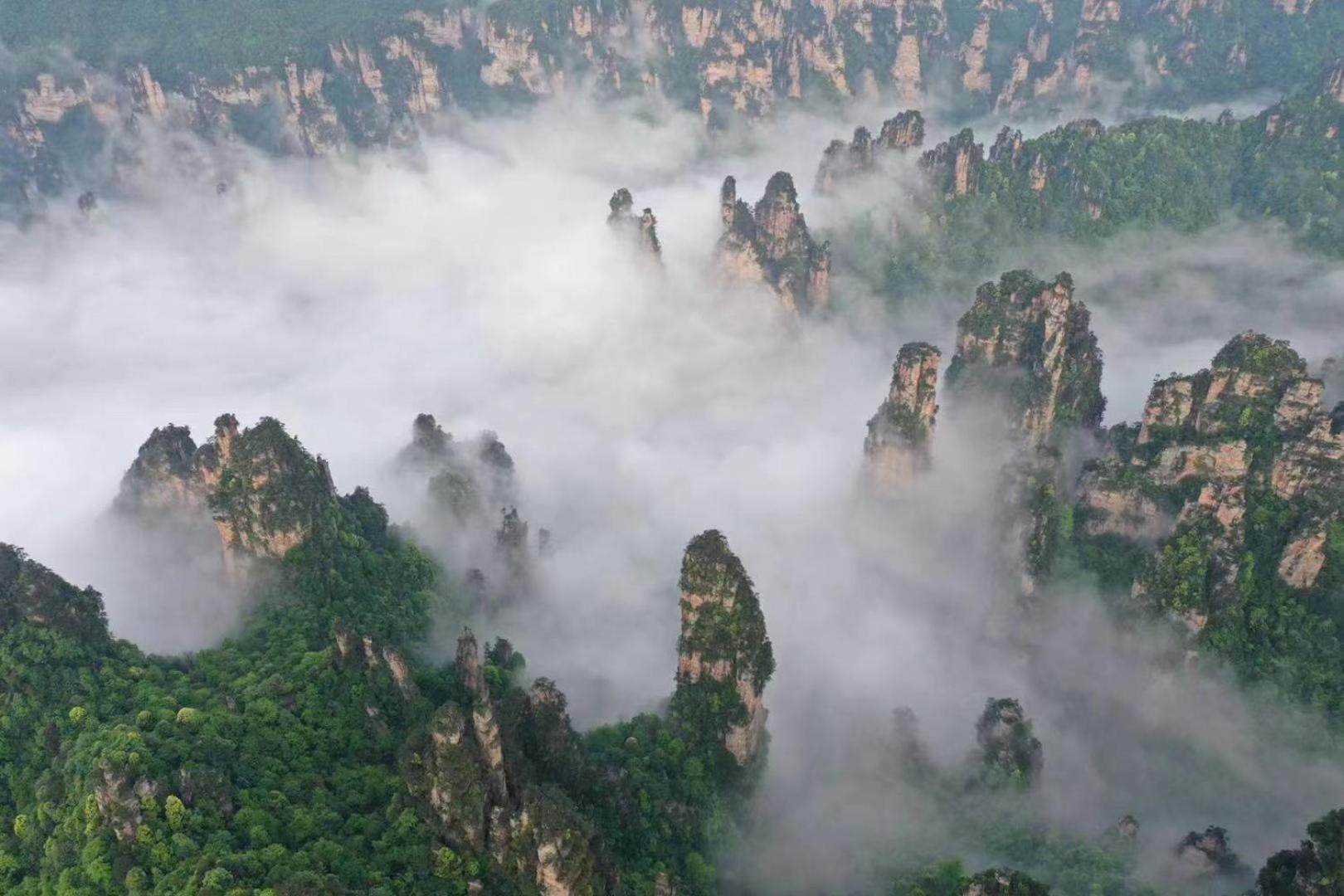 Zhangjiajie National Forest Park Camping Buitenkant foto